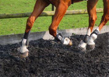 Equestrian Rubber Mulch