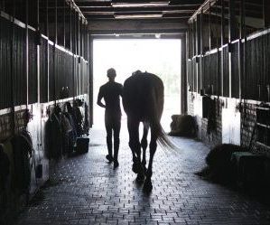 Rubber Floor Horse Stable