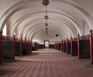 Rubber Floor Horse Stable