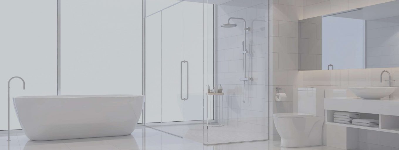 Mirrors and Shower Glass Partitions