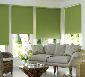 Curtains Blinds Motorized Operation, Control, and Smart Solutions