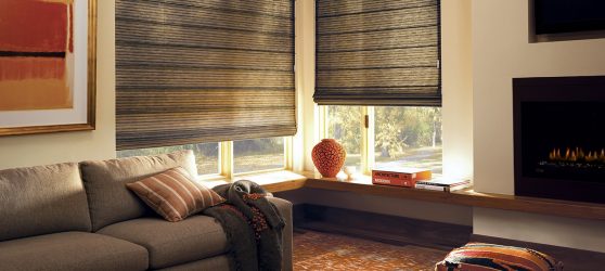 Curtains Blinds Motorized Operation, Control, and Smart Solutions